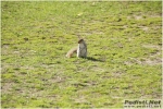 DSC03558.JPG