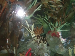 Picture_060.jpg