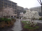 Filename=Picture_076.jpg
Filesize=258KiB
Dimensions=1024x768
Date added=Apr 24, 2009 Picture_076.jpg