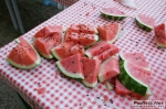 DSC06786.JPG