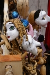 DSC00293.jpg
