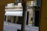 DSC00313.jpg
