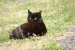 DSC04271.jpg