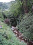 Filename=117.jpg
Filesize=187KiB
Dimensions=768x1024
Date added=Jun 02, 2009 117.jpg