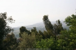 05_07_2009_Prato_Bocca_di_Rio_denise_quintieri_00107.jpg
