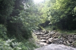 05_07_2009_Prato_Bocca_di_Rio_denise_quintieri_00878.jpg