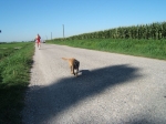 DSCF1788.JPG