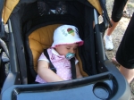 DSCF1874.JPG