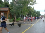 Filename=HPIM9029.jpg
Filesize=102KiB
Dimensions=1016x760
Date added=Oct 26, 2009 HPIM9029.jpg