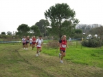 Filename=143.jpg
Filesize=110KiB
Dimensions=1016x762
Date added=Jan 18, 2010 143.jpg