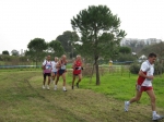 Filename=144.jpg
Filesize=110KiB
Dimensions=1016x762
Date added=Jan 18, 2010 144.jpg