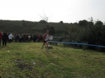 Filename=216.jpg
Filesize=102KiB
Dimensions=1016x762
Date added=Jan 18, 2010 216.jpg