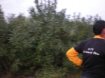 DSCN1217.jpg
