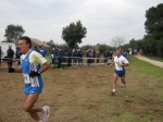 159.jpg