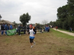 175.jpg