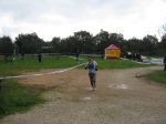 201.jpg