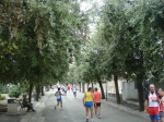PINETA.jpg