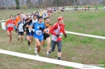 Filename=DSC_7556.jpg
Filesize=165KiB
Dimensions=1016x677
Date added=Dec 06, 2009 DSC_7556.jpg