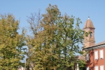 DSC04718.jpg