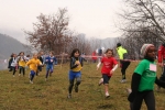 Filename=IMG_8482.jpg
Filesize=131KiB
Dimensions=1016x678
Date added=Nov 30, 2009 IMG_8482.jpg
