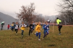 Filename=IMG_8483.jpg
Filesize=131KiB
Dimensions=1016x678
Date added=Nov 30, 2009 IMG_8483.jpg