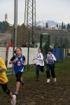 IMG_9012.jpg