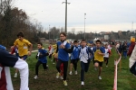 IMG_9074.jpg