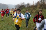 IMG_8138.jpg