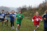 IMG_8141.jpg