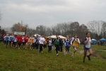 IMG_8147.jpg