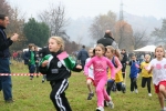 IMG_8200.jpg