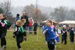 IMG_8202.jpg