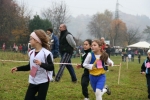 IMG_8203.jpg