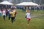IMG_8205.jpg
