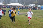 IMG_8206.jpg
