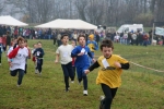 IMG_8207.jpg