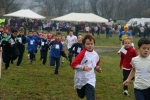 IMG_8209.jpg