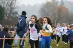 IMG_8213.jpg