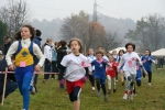 IMG_8214.jpg