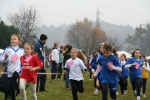 IMG_8215.jpg