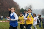 IMG_8217.jpg