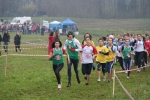 IMG_8225.jpg