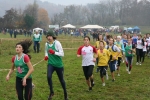 IMG_8226.jpg