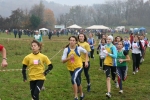 IMG_8227.jpg