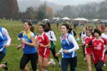 IMG_8231.jpg