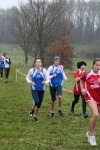 IMG_8245.jpg