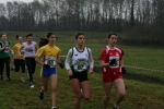 IMG_8334.jpg