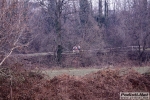 23_01_2010_Giussano_Campionato_Brianzolo_Roberto_Mandelli_0103.jpg