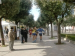 Filename=HPIM9547.jpg
Filesize=139KiB
Dimensions=1016x760
Date added=Nov 05, 2009 HPIM9547.jpg