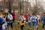 IMG_0772.jpg